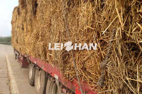 rice and wheat straw pulp